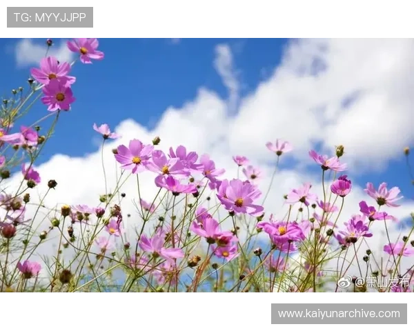 利用开运在线注册平台快速注册，开启属于你的幸运人生新旅程