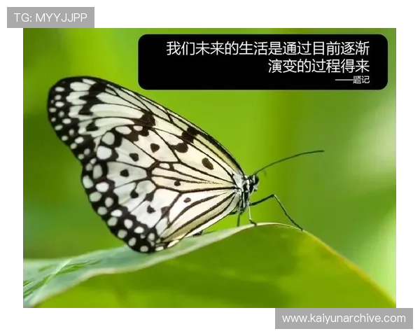 解读开云中国关网对传统商业模式的重塑